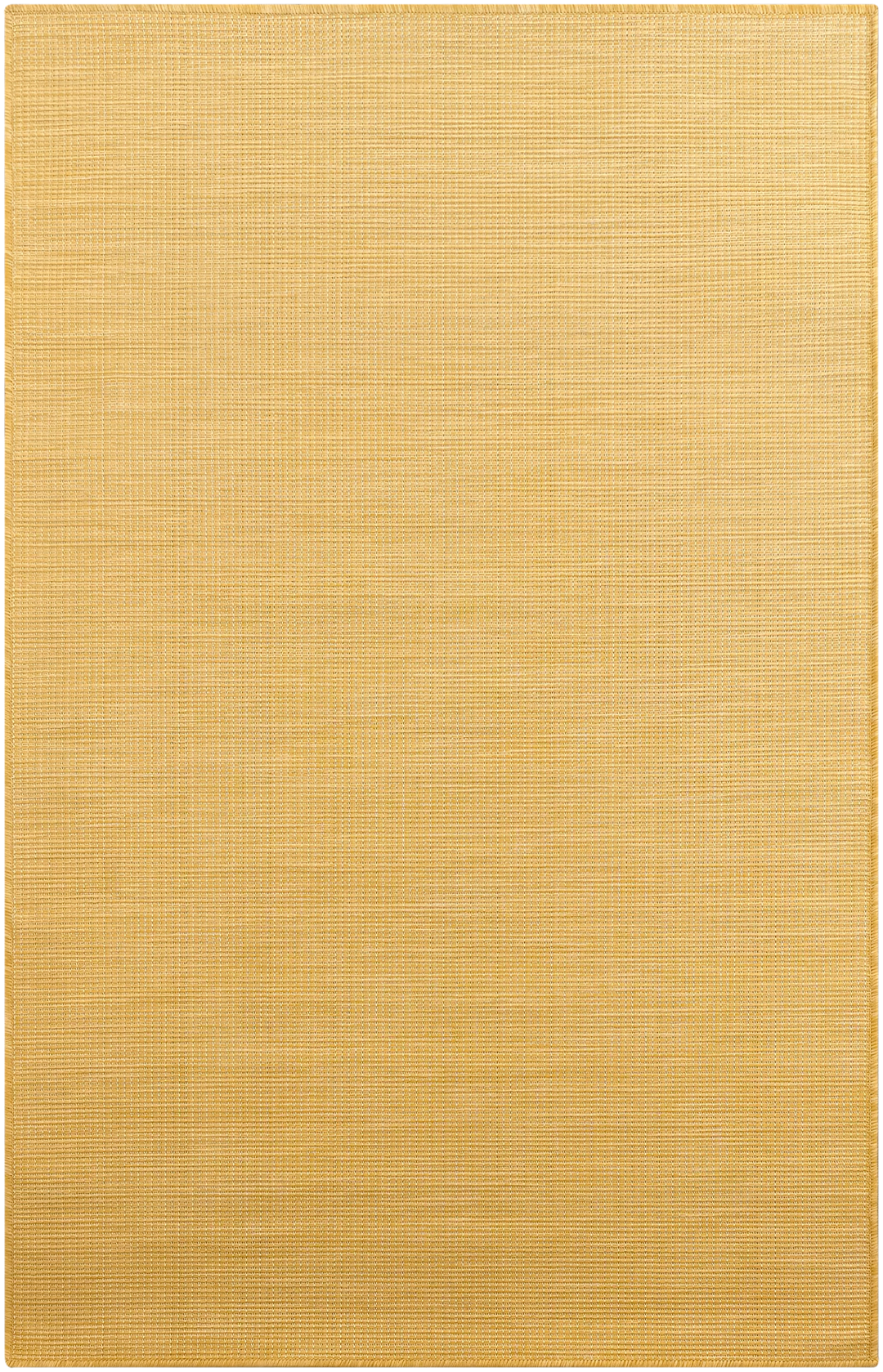 Bloom Yellow