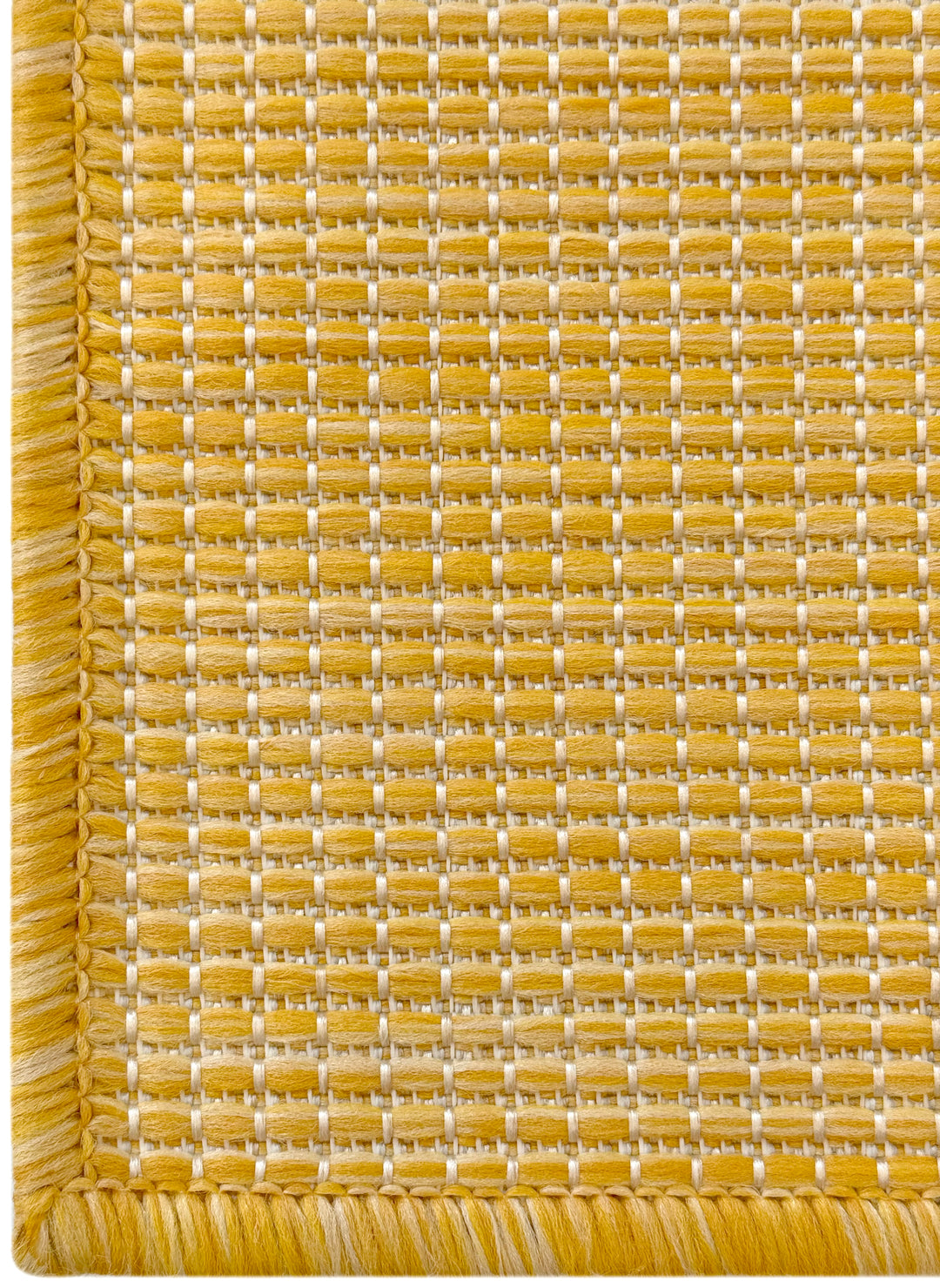 Bloom Yellow