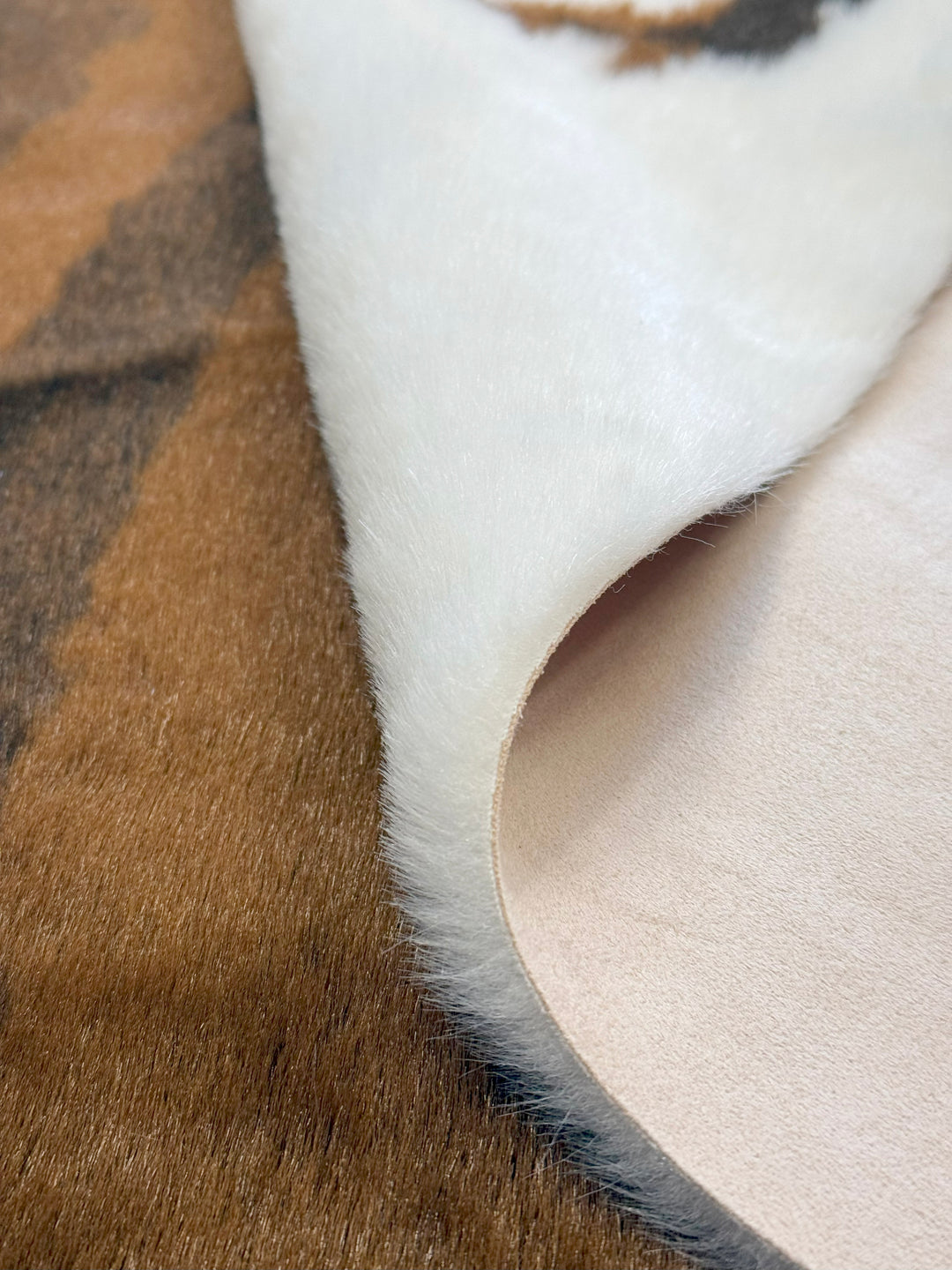 Collingwood Brown White 5'x7'