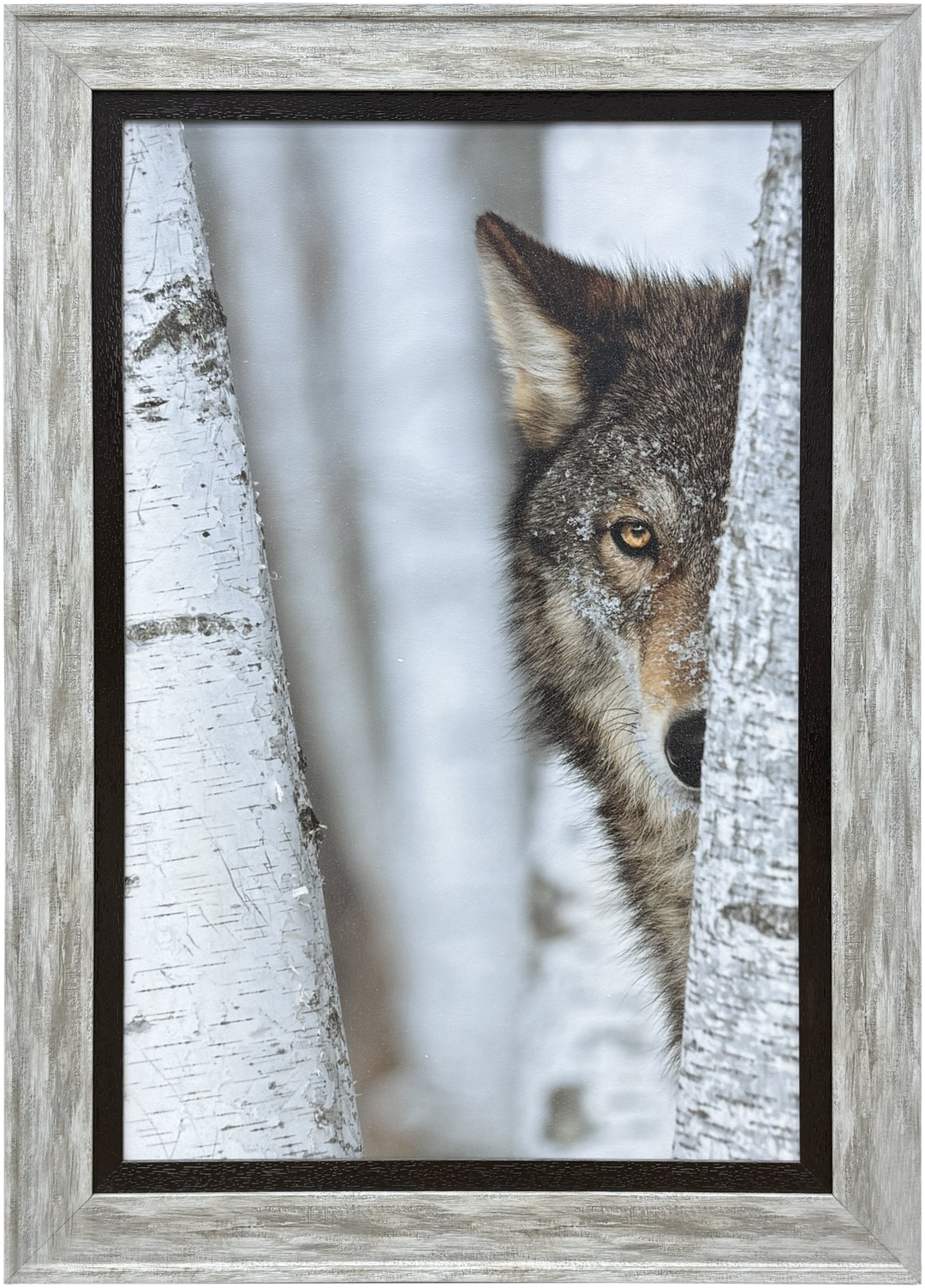 WALL ART - Eyes of the Frozen Forest