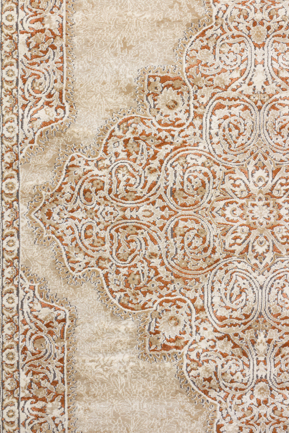 Cleo 18577-621 - Area Rug Shop