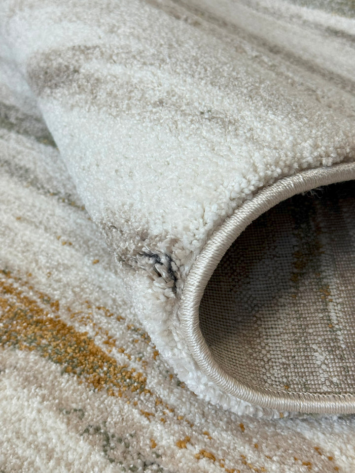 Neutral area rug with earthy tones and soft layered texture