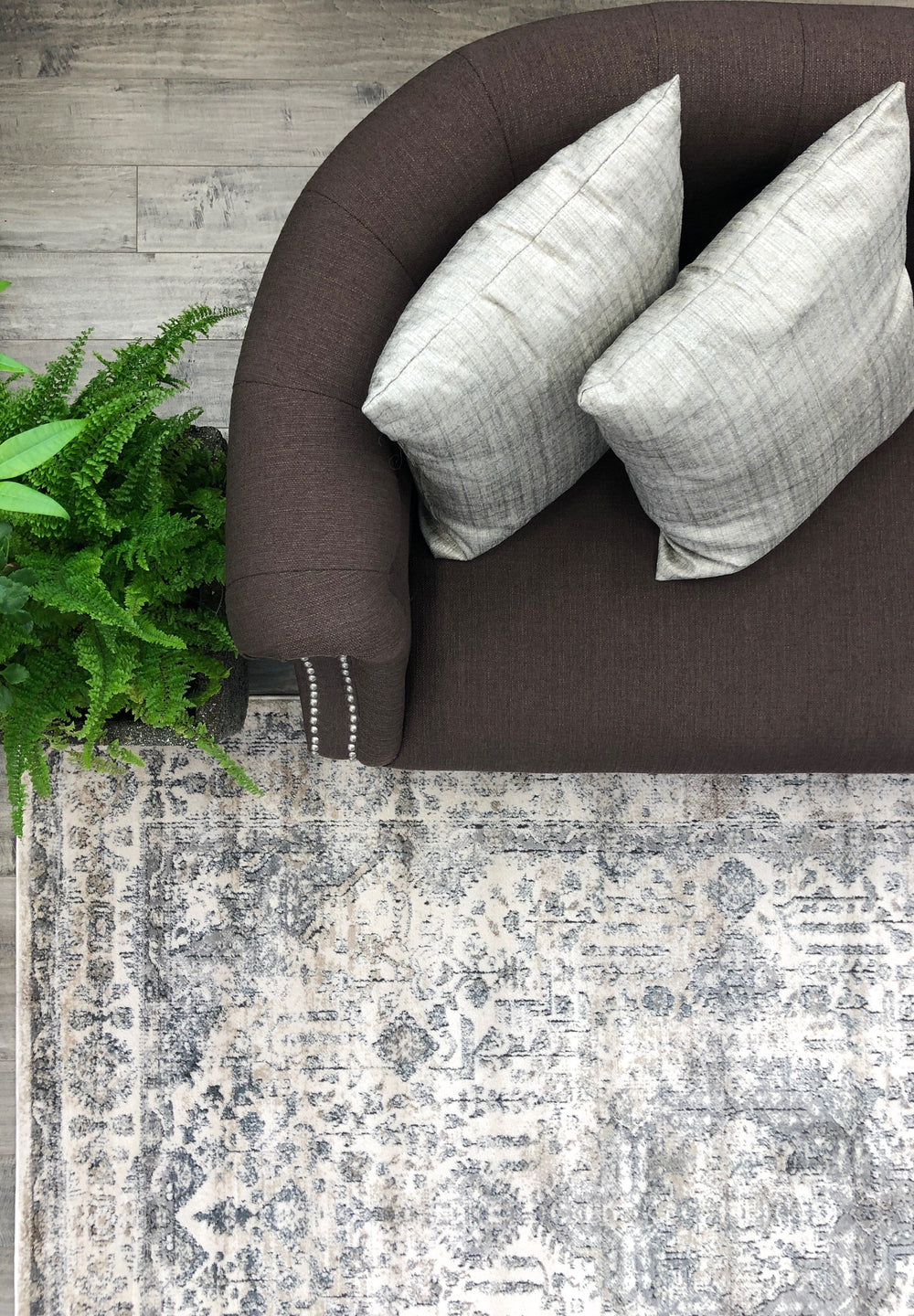 Republic 876 – Area Rug Shop